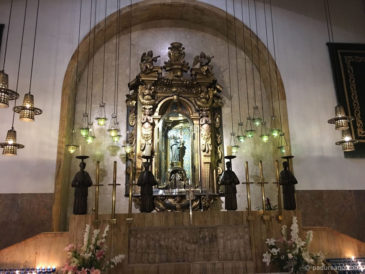 lluc-1-padureanu-com