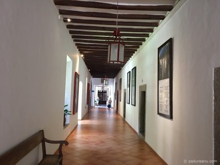 lluc-2-padureanu-com